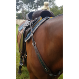 CSS Chocolate with turquoise bling detail and tooling. - Country Scene Saddlery and Pet Supplies