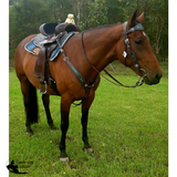 CSS Chocolate with turquoise bling detail and tooling. - Country Scene Saddlery and Pet Supplies