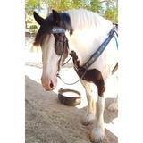 CSS Custom Inlay Tacksets. - Country Scene Saddlery and Pet Supplies