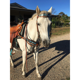 CSS Custom Inlay Tacksets. - Country Scene Saddlery and Pet Supplies