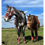 Custom Tack Kits And Saddles