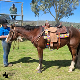 CSS Custom Saddles Tack Boots Pads and Accessories. - Custom