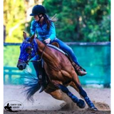 CSS Doc's Custom Hood - Country Scene Saddlery and Pet Supplies