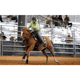 CSSB06 Floral Tooled Barrel Saddle leaf Boarder - Country Scene Saddlery and Pet Supplies