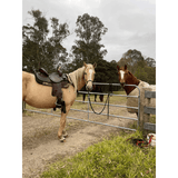 CSSB06 Floral Tooled Barrel Saddle leaf Boarder - Country Scene Saddlery and Pet Supplies