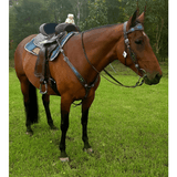 CSSB06 Floral Tooled Barrel Saddle leaf Boarder - Country Scene Saddlery and Pet Supplies