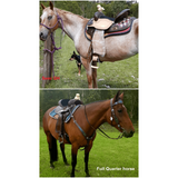 New! Css 01 Custom Inlay Barrel Saddle