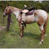 New! Css 01 Custom Inlay Barrel Saddle