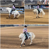 Css 04 Custom Reining Saddle