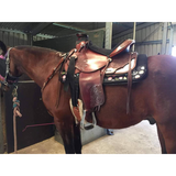 🔥Custom Barrel Shaped Pad. - Country Scene Saddlery and Pet Supplies