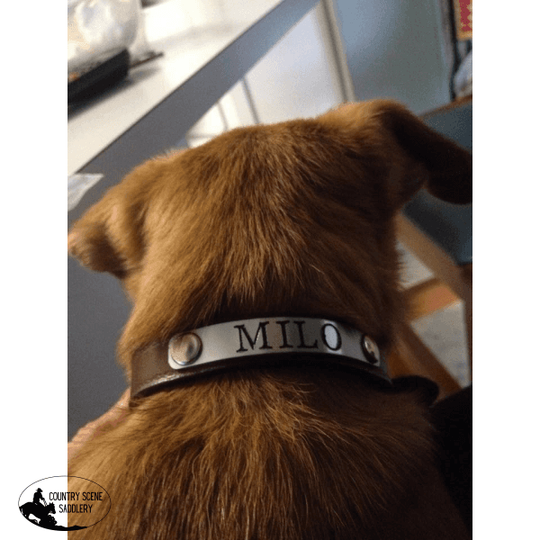 New! Custom Engraved Leather Dog Collar. Posted.