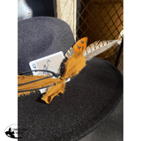 Custom Rancher / EVERYONE’S AN OUTLAW - Country Scene Saddlery and Pet Supplies