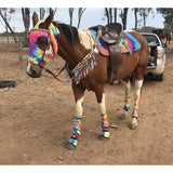 Custom Hood - Country Scene Saddlery and Pet Supplies