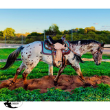 Delilah Collection Breastcollar - Country Scene Saddlery and Pet Supplies
