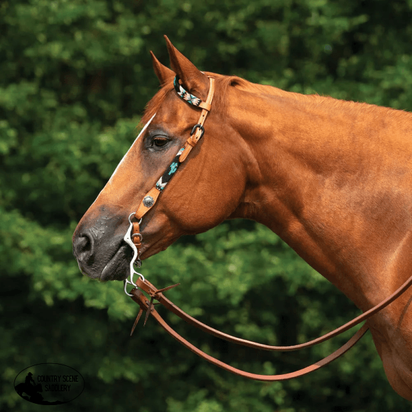 Double S Beaded Cactus One Ear Headstall