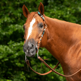 Double S Beaded Cactus One Ear Headstall