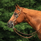 Double S Beaded Cactus One Ear Headstall - Country Scene Saddlery and Pet Supplies