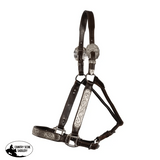 Double S Caroline Show Halter With Lead Halter