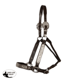 Double S Caroline Show Halter with Lead - Country Scene Saddlery and Pet Supplies