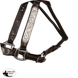 Double S Caroline Show Halter with Lead - Country Scene Saddlery and Pet Supplies