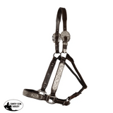 Double S Caroline Show Halter with Lead - Country Scene Saddlery and Pet Supplies