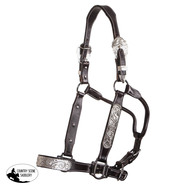 New! Double S® Caroline Show Halter With Lead Posted.*