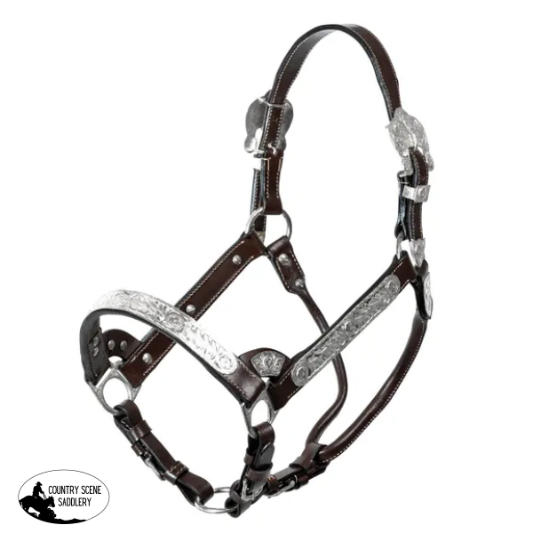 Double S Cassidy Show Halter With Lead Halter