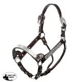 Double S Cassidy Show Halter with Lead - Country Scene Saddlery and Pet Supplies