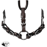 Double S Cassidy Show Halter with Lead - Country Scene Saddlery and Pet Supplies