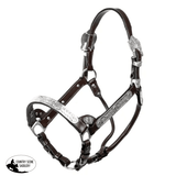 Double S Cassidy Show Halter with Lead - Country Scene Saddlery and Pet Supplies
