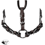 Double S Cassidy Show Halter with Lead - Country Scene Saddlery and Pet Supplies
