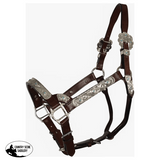 Double S Dixie Horse Show Halter With Lead Halter