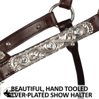 Double S Dixie Horse Show Halter With Lead Halter