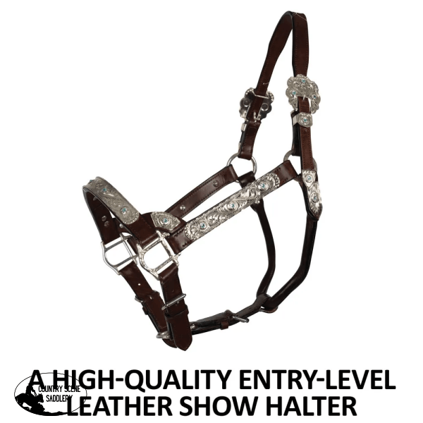 Double S Dixie Horse Show Halter With Lead Halter