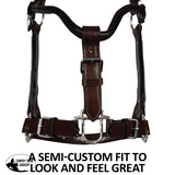 Double S Dixie Horse Show Halter With Lead Halter