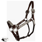 Double S Dixie Horse Show Halter with Lead - Country Scene Saddlery and Pet Supplies
