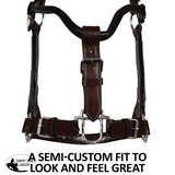 Double S Dixie Horse Show Halter with Lead - Country Scene Saddlery and Pet Supplies