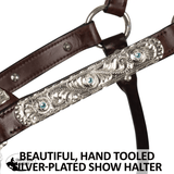 Double S Dixie Horse Show Halter with Lead - Country Scene Saddlery and Pet Supplies