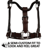 Double S Dixie Horse Show Halter with Lead - Country Scene Saddlery and Pet Supplies