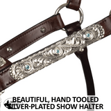 Double S Dixie Horse Show Halter with Lead - Country Scene Saddlery and Pet Supplies