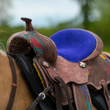 Double S Painted Feather Barrel Saddle - Country Scene Saddlery and Pet Supplies
