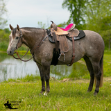 Double S Reno Barrel Saddle - Country Scene Saddlery and Pet Supplies