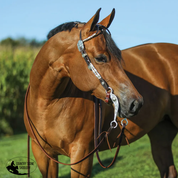 Double S Two Ear Ferrule Show Headstall