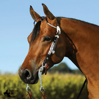 Double S Two Ear Ferrule Show Headstall