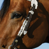 Double S Two Ear Ferrule Show Headstall