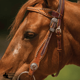 New! Double S Two-Tone Studded Browband Headstall - Country Scene Saddlery and Pet Supplies