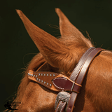New! Double S Two-Tone Studded Browband Headstall - Country Scene Saddlery and Pet Supplies