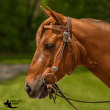 New! Double S Two-Tone Studded Browband Headstall - Country Scene Saddlery and Pet Supplies