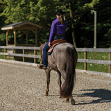 Double S Work & Trail Western Saddle - Country Scene Saddlery and Pet Supplies