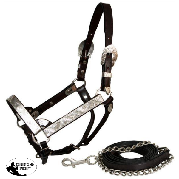 New! Double Stitched Leather Full Horse Size Show Halter With Lead.